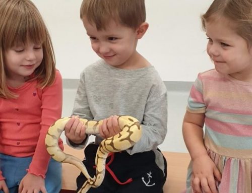 Gady-warsztaty przyrodnicze