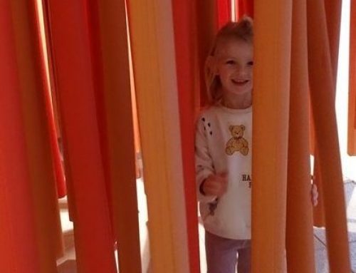 Wycieczka sensorysie- grupa zielona i czerwona