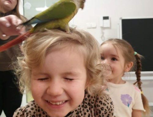 Papugi- warsztaty przyrodnicze