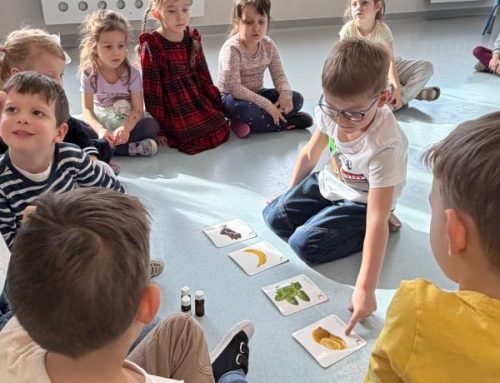 ZMYSŁY- GRUPA NIEBIESKA