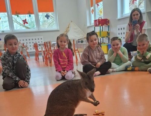 WARSZTATY Z KANGUREM- GRUPA POMARAŃCZOWA